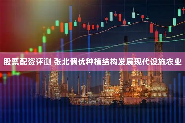 股票配资评测 张北调优种植结构发展现代设施农业