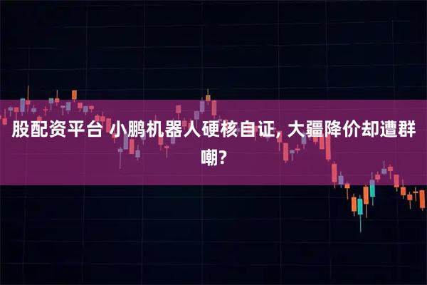 股配资平台 小鹏机器人硬核自证, 大疆降价却遭群嘲?