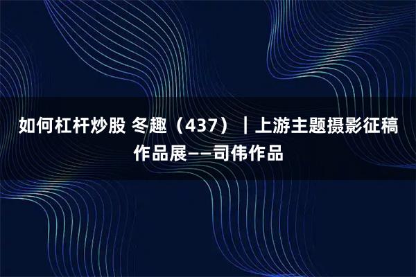 如何杠杆炒股 冬趣（437）｜上游主题摄影征稿作品展——司伟作品